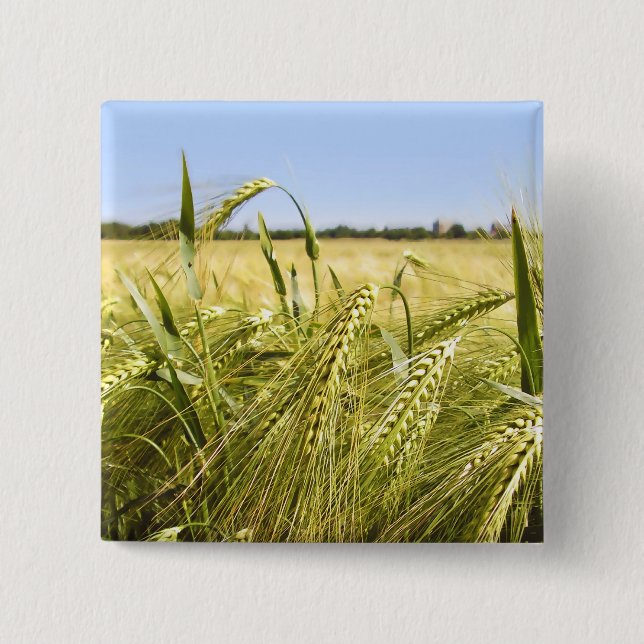 Rye Grain Botanical Nature 15 Cm Square Badge (Front)