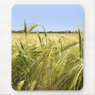 Rye Grain Botanical Nature Mouse Mat