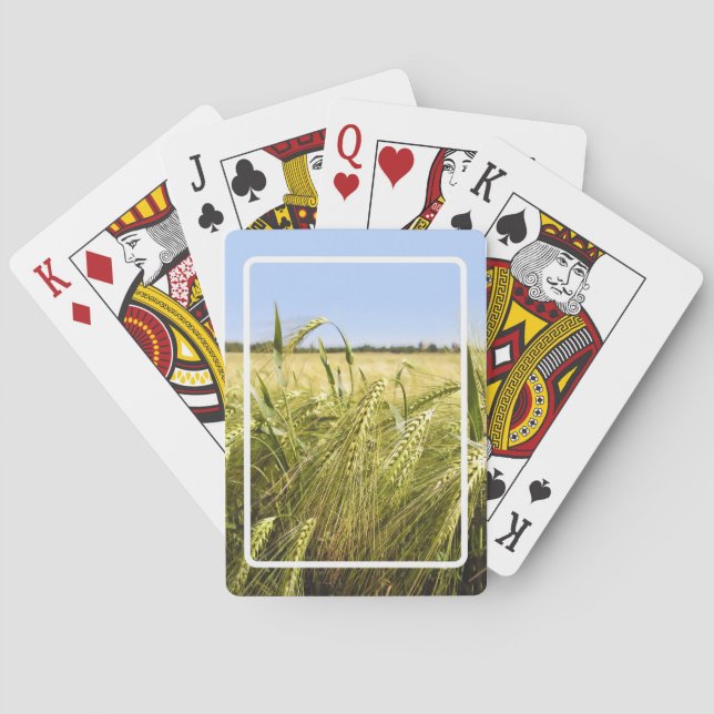 Rye Grain Botanical Nature Playing Cards (Back)