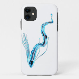 "Ryugu no Tsukai" (Messenger of Ryugu, Regalecus g iPhone 11 Case