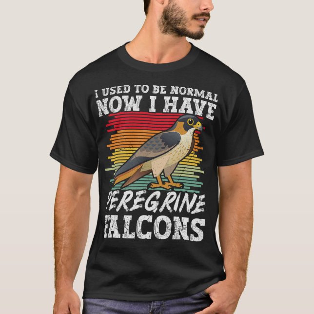 S2 Falconry Falconer Falcon Falcons (107) T-Shirt (Front)