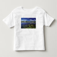 S.A., Brazil, Waterways in Pantanal
