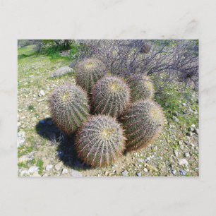 S I X POSTCARD