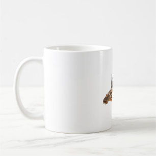 S is for Suckermouth Catfish Coffee Mug