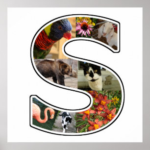 S Monogram Create Your Own 8 Custom Photo Collage Poster