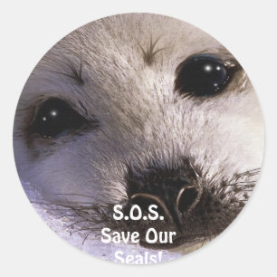S.O.S. SAVE OUR HARP SEALS