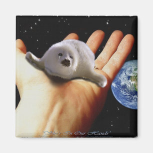 S.O.S. SAVE OUR HARP SEALS MAGNET