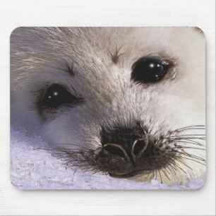 S.O.S. SAVE OUR HARP SEALS Wildlife Mousepad