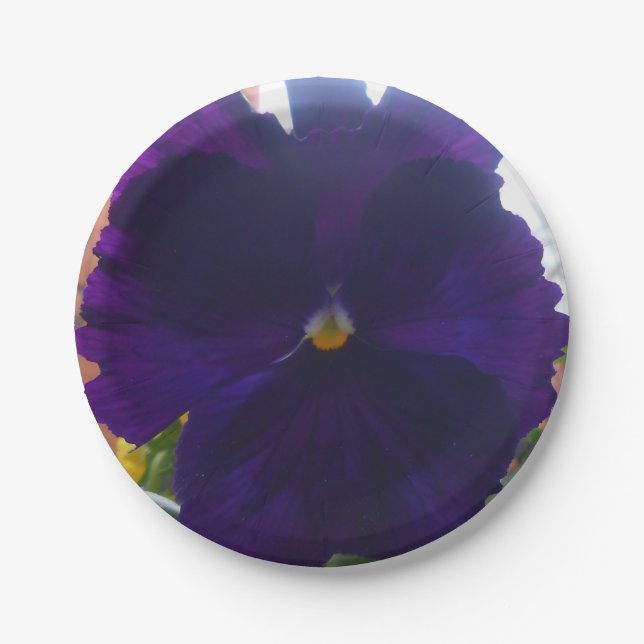 S PAPER PLATE (Front)