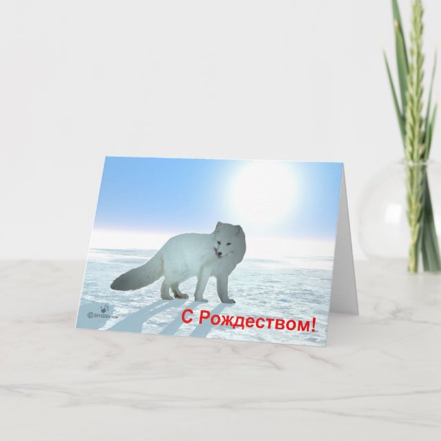 S Rozhdestvom - Arctic Fox Holiday Card (Front)