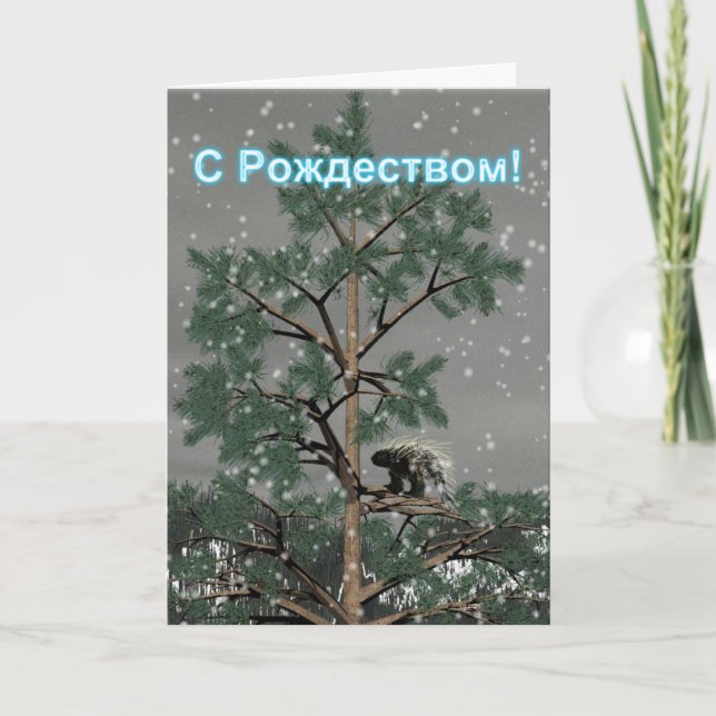 S Rozhdestvom - Porcupine In A Pine Tree Holiday Card (Front)