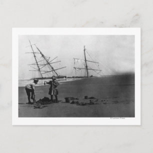 S.S. Alice McDonald Wreck Ilwaco Peninsula Postcard