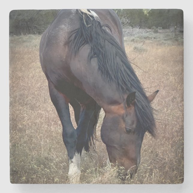 S Steens Coaster (Front)