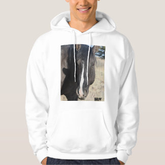 S Steens Valor Hoodie