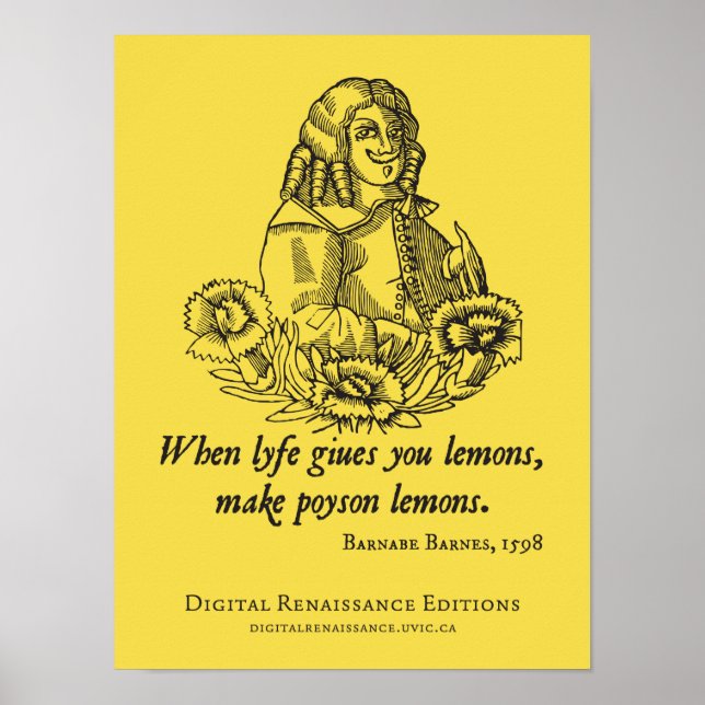 S(t)age Advice Poster (Front)