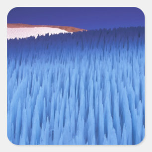 SA, Chile, Coquimbo Region, Nieve Penitente; Square Sticker