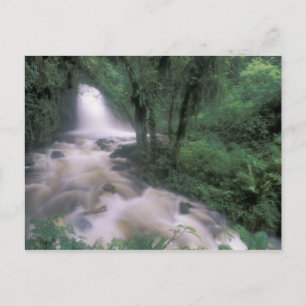 SA, Peru, S.H. Machu Picchu, Cascade and cloud Postcard