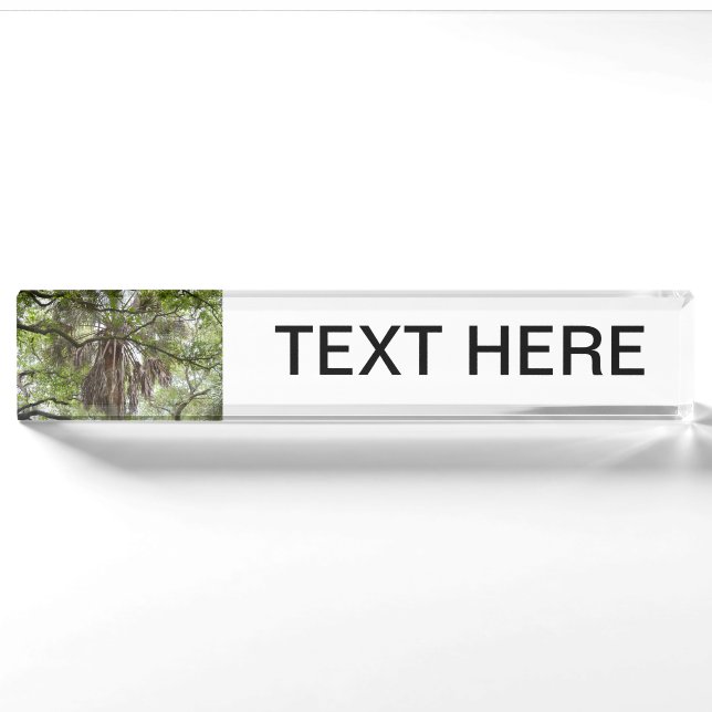 sabal palm through live oak branches tree nameplate (Front)