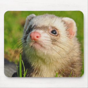 Sable Ferret in the Grass Mouse Mat