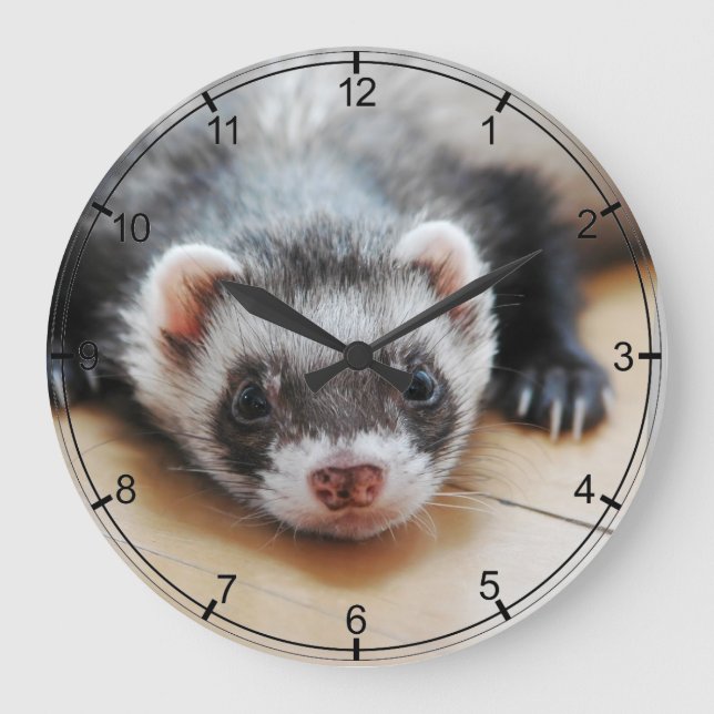 Sable Ferret Large Clock (Front)