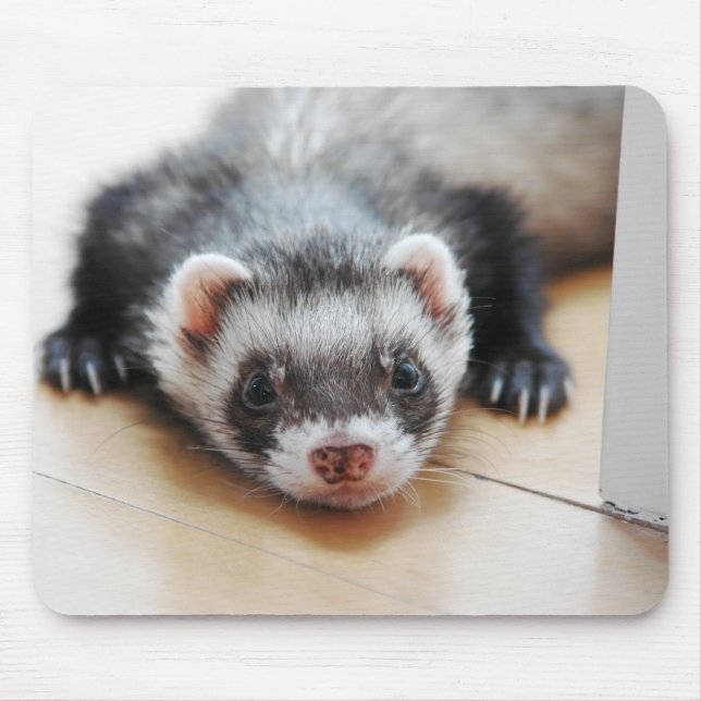 Sable Ferret Mouse Mat (Front)