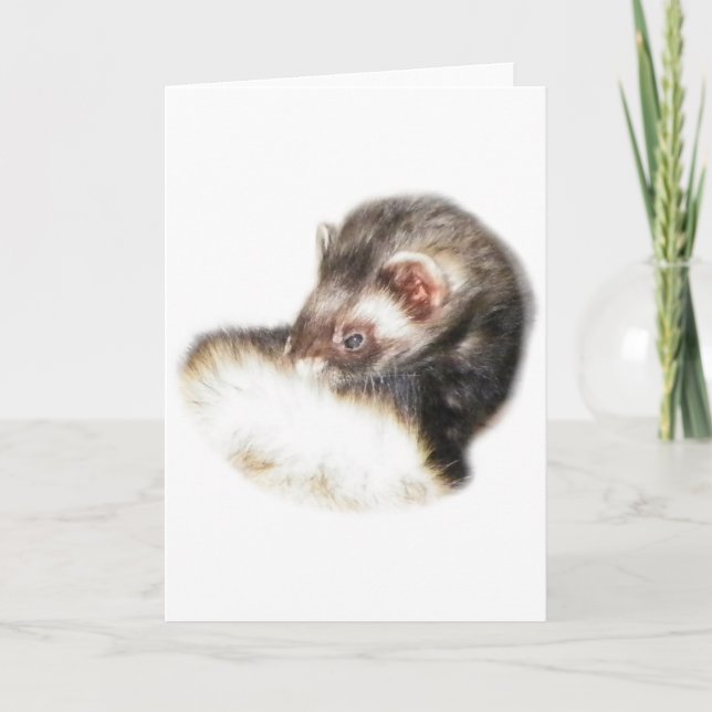 Sable Ferret Picture Holiday Card (Front)
