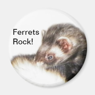 Sable Ferret Picture Magnet