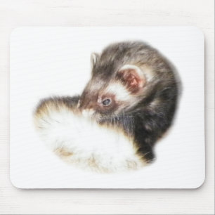 Sable Ferret Picture Mouse Mat