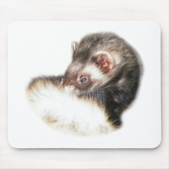Sable Ferret Picture Mouse Mat (Front)