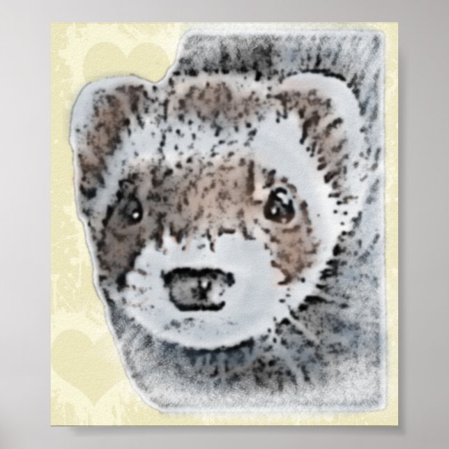 Sable Ferret Picture Poster (Front)