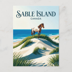 Sable Island National Park Reserve Canada Postcard