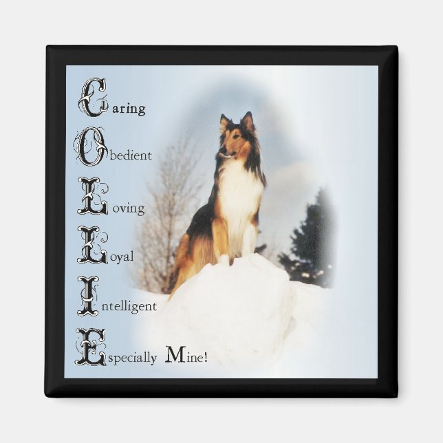 Sable Rough Collie Gifts Magnet (Front)