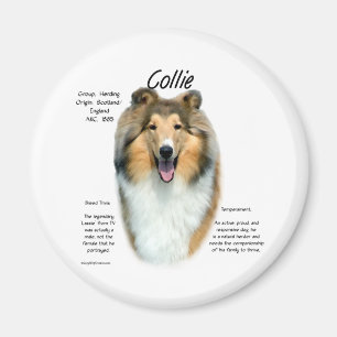 Sable Rough Collie Meet the Breed - Magnet