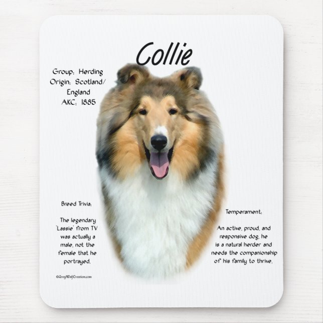 Sable Rough Collie Meet the Breed Mouse Mat (Front)