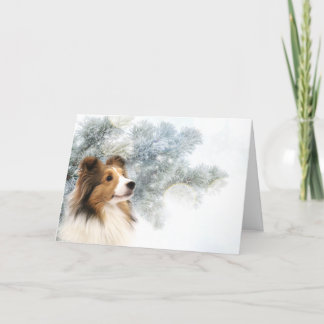 Sable Sheltie Christmas Holiday Card