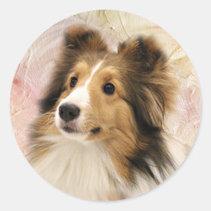 Sable Sheltie face Classic Round Sticker