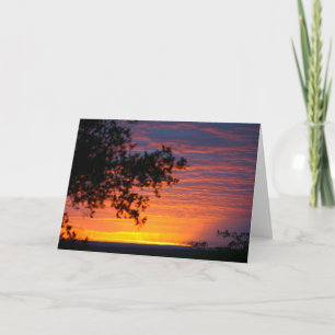 Sable Sunset Card