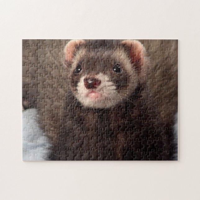 Sable Weasel  - Jabba the Ferret Jigsaw Puzzle (Horizontal)