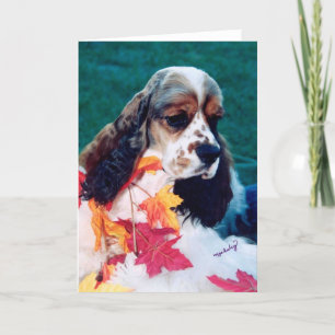 Sable white Cocker Spaniel Card