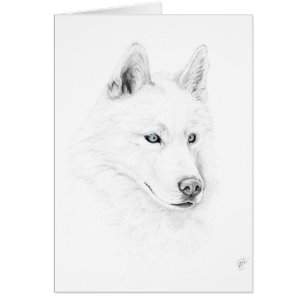 Sabre A Siberian Husky Drawing Art Blue Eyes