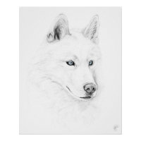 Sabre A Siberian Husky Drawing Art Blue Eyes