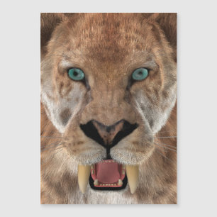 Sabre Toothed Ttiger or Smilodon