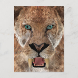 Sabre Toothed Ttiger or Smilodon Postcard