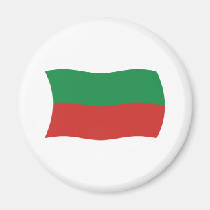 Sac & Fox Nation (Iowa) Flag Magnet