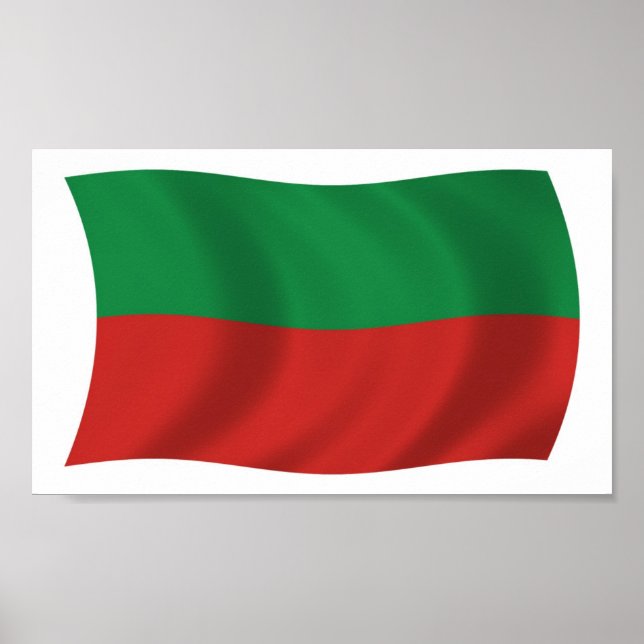 Sac & Fox Nation (Iowa) Flag Poster Print (Front)