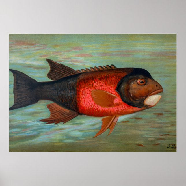 Sacramento Pike by John L Petrie Poster (Front)