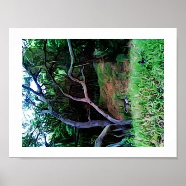 Sacramento River Forest Poster (Front)