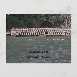 Sacramento River Postcard