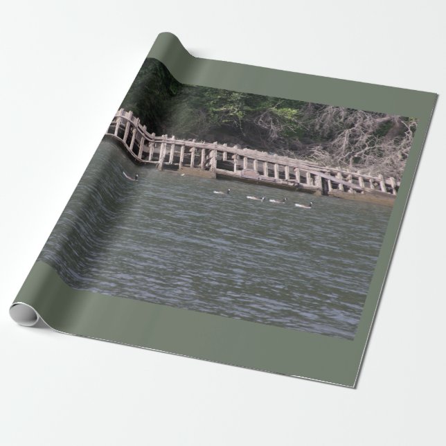 Sacramento River Wrapping Paper (Unrolled)