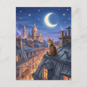 Sacre-Coeur Basilica Montmartre Paris France Postcard